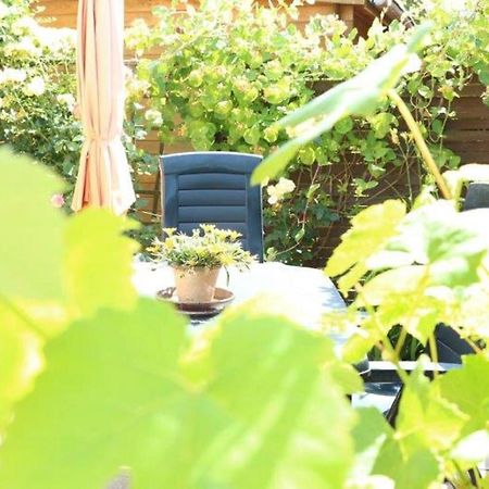 Ferienwohnung Tschitschmann ناومبورغ المظهر الخارجي الصورة