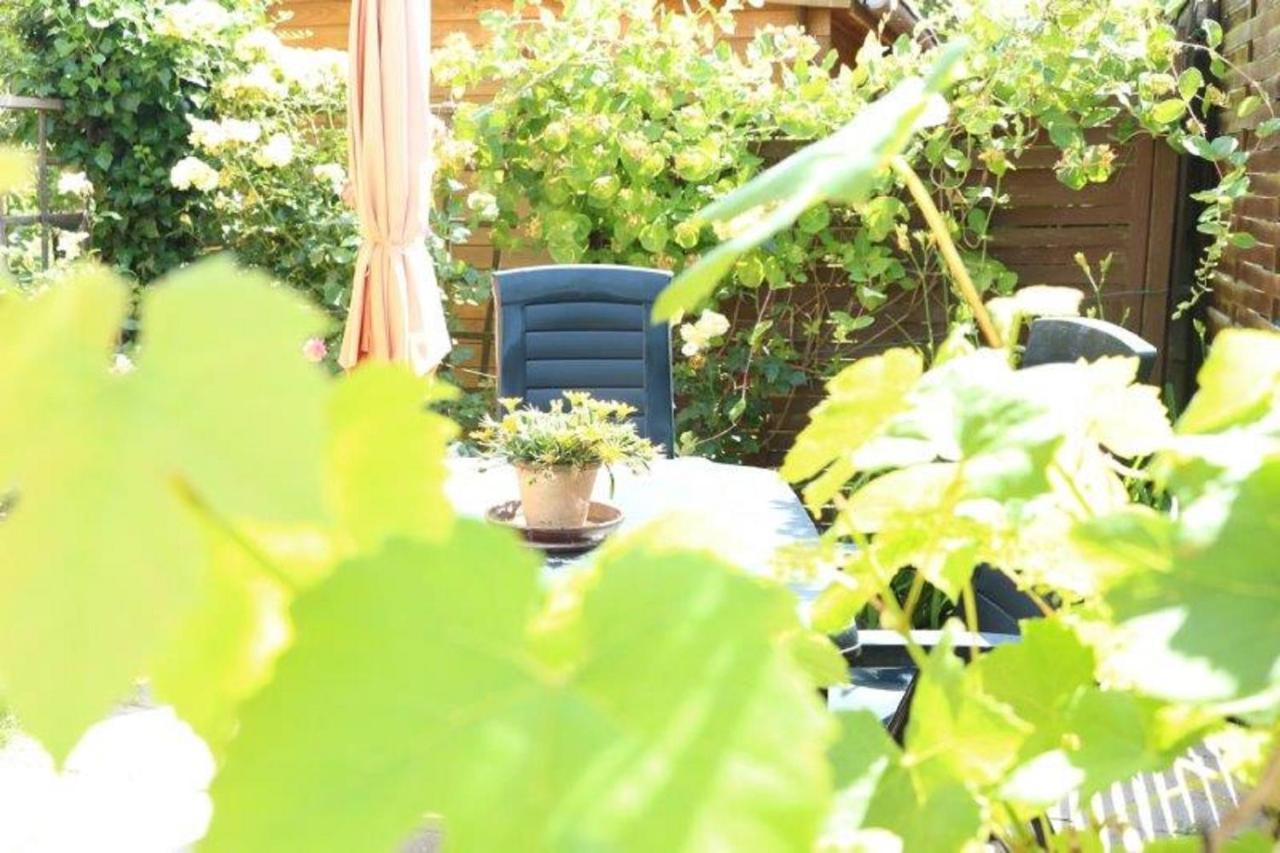 Ferienwohnung Tschitschmann ناومبورغ المظهر الخارجي الصورة